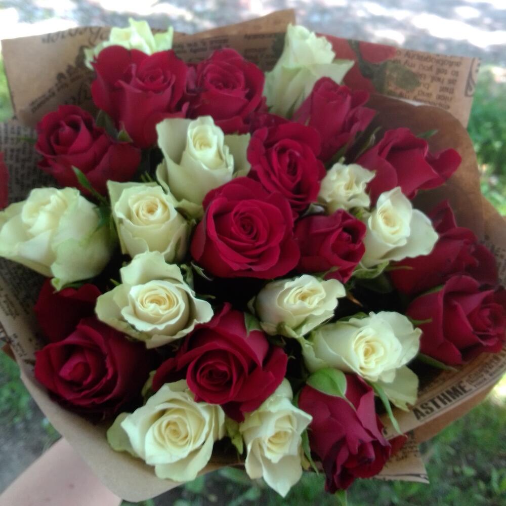 31 роза 31 роза