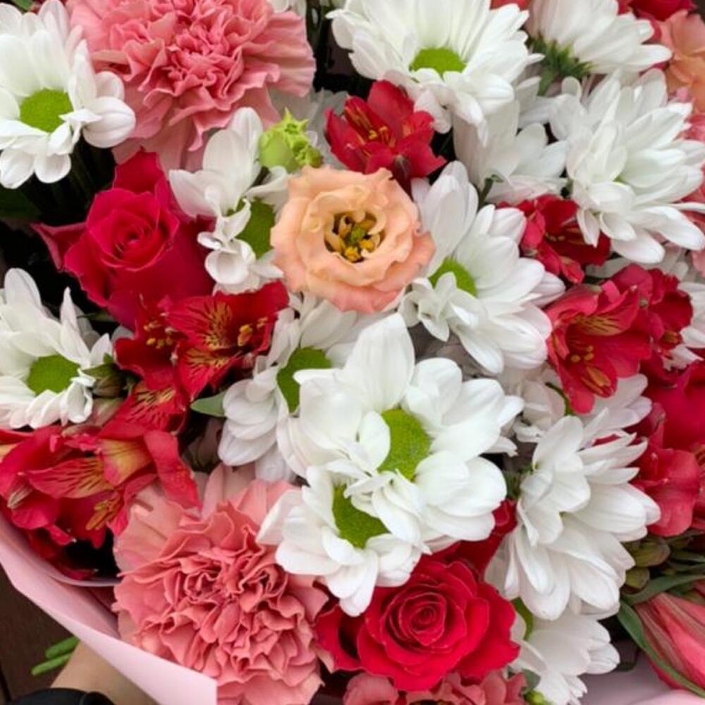 гвоздики гвоздики