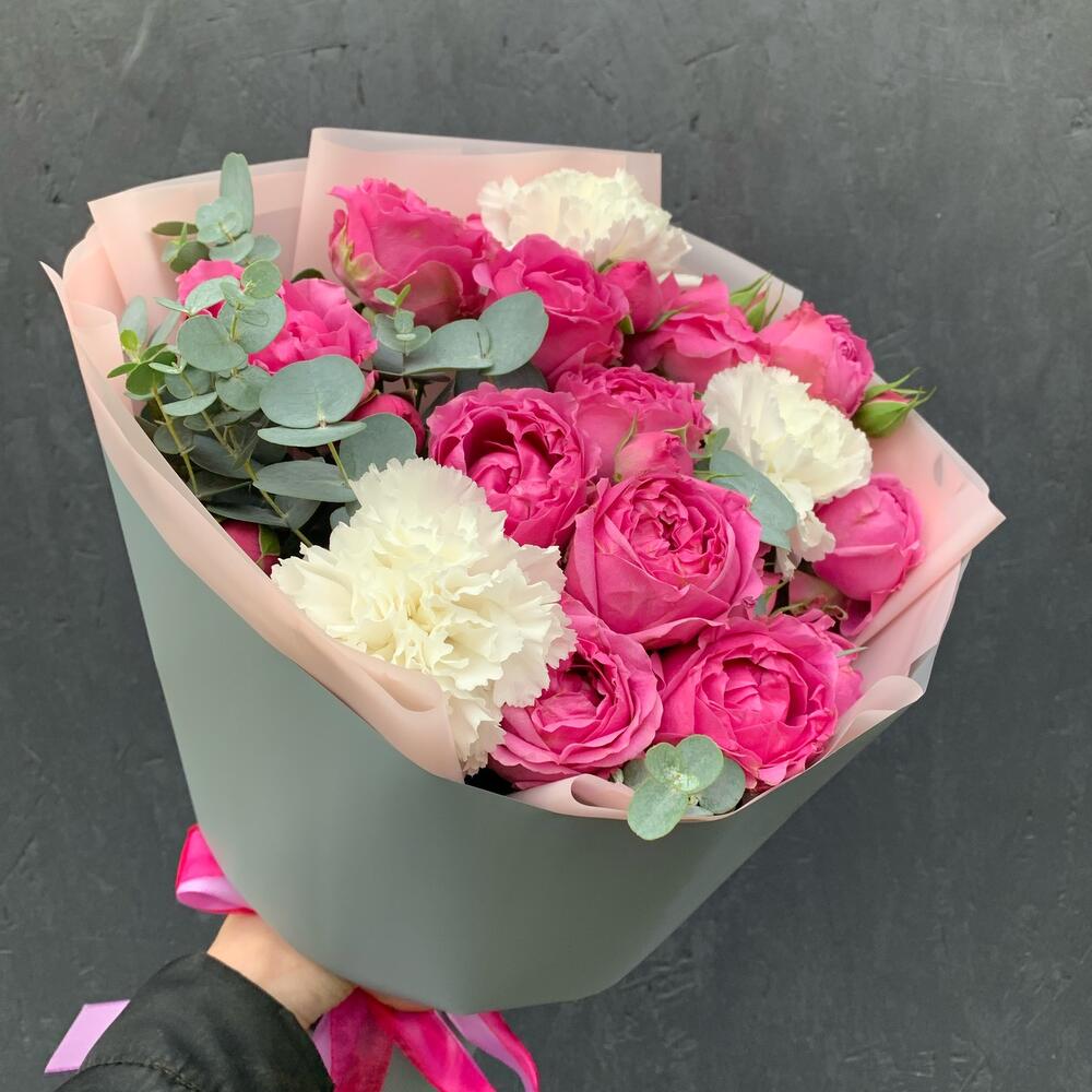 гвоздик и эвкалипта Кэнди гвоздик и эвкалипта Кэнди