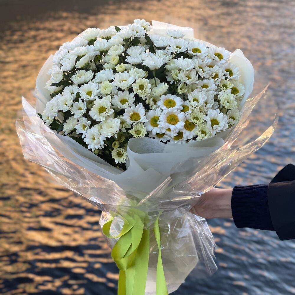 даа- ромашка М» даа- ромашка М»