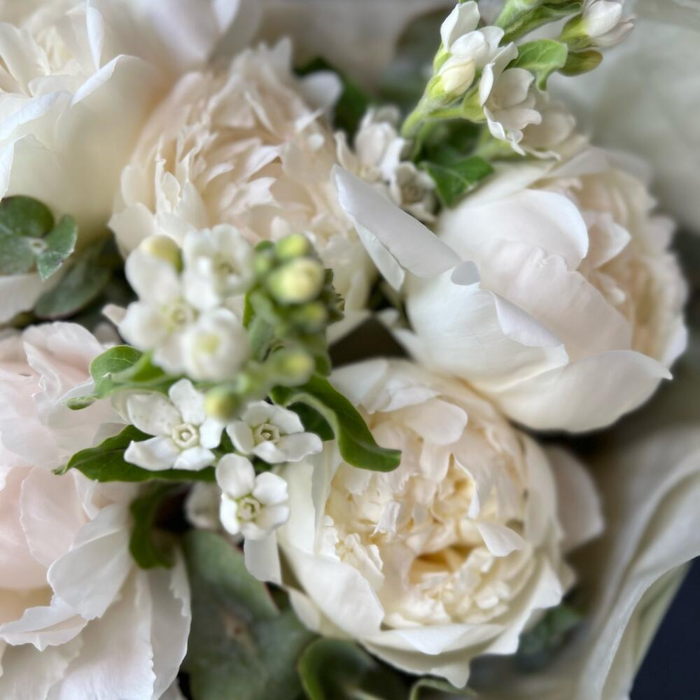 оксипеталум и эвкалипт «Летняя свежесть» оксипеталум и эвкалипт «Летняя свежесть»