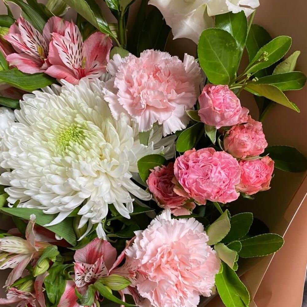 альстромерии альстромерии